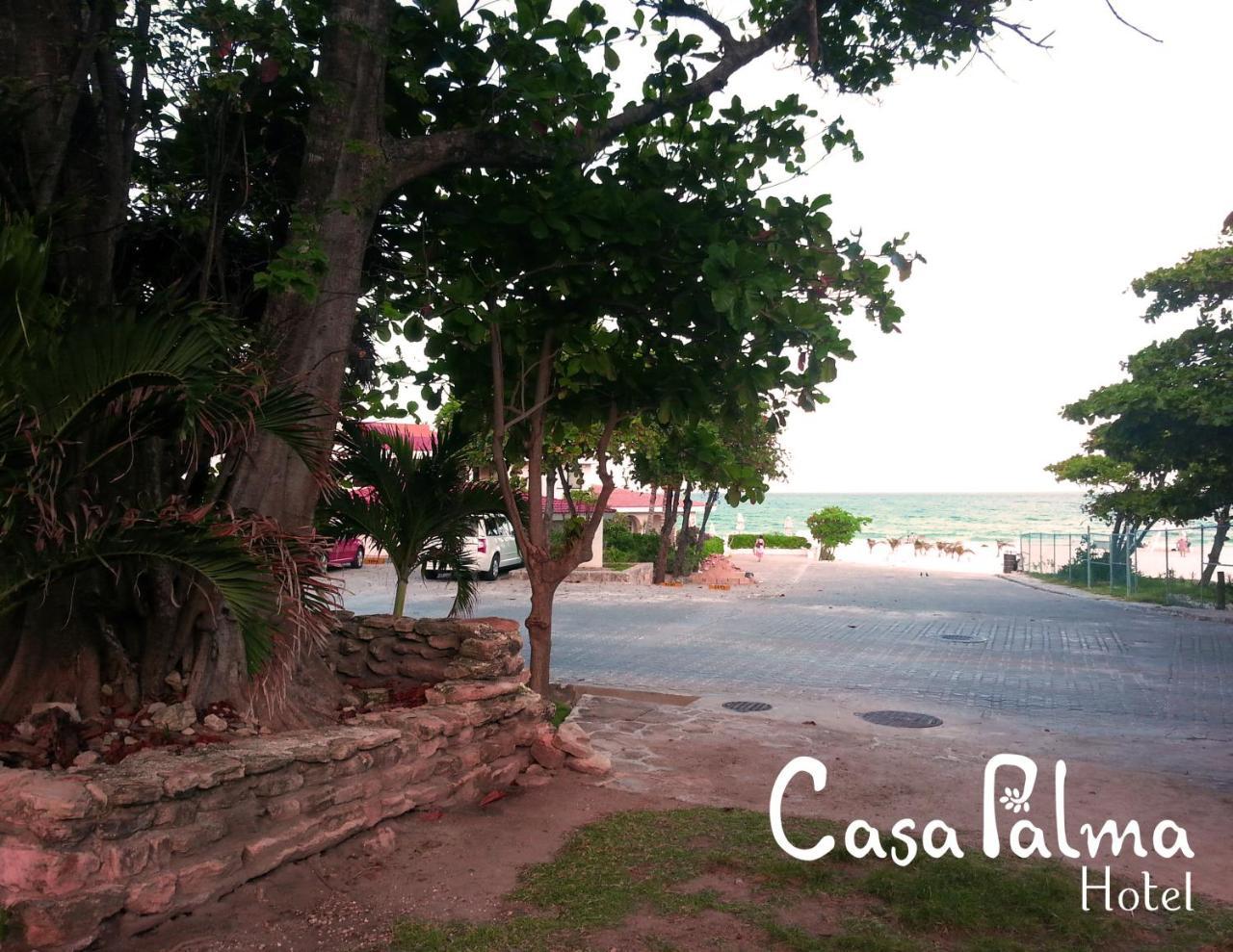 Casa Palma Hotel Playa del Carmen Exteriér fotografie